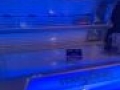 solarium platinium  tarnow15